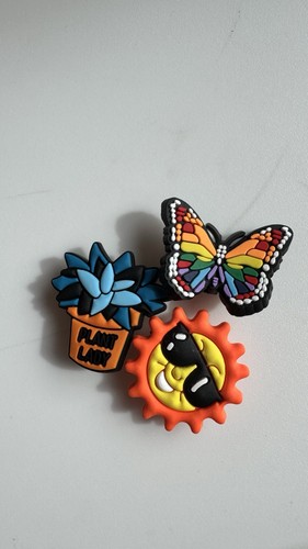 Plant butterfly sunshine - plant,